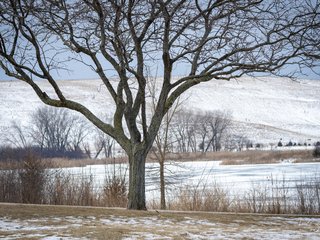 Mallard Lake Forest Preserve