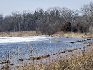 Rocks Near the Shore