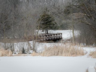 Bridge in the Snow