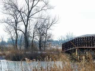 Bridge