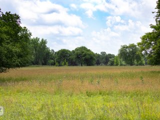 Miller's Meadow