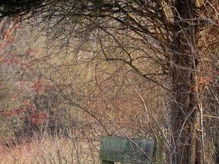 Bench