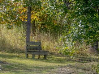A Bench on the Path