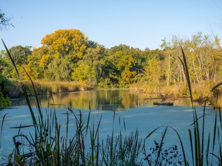 Sulky Pond