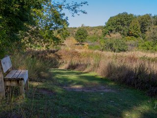 Bench Looking out at the Savannah
