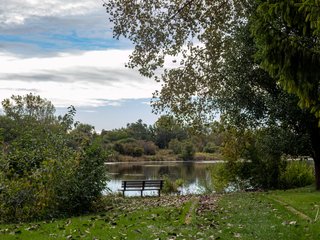 The Bench at the Pond