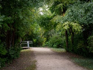 The Path to the Observation Deck