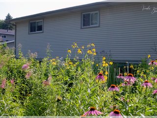Rain Garden