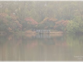 Ruth Macintyre Conservation Area